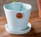 Aqua Snail Planter