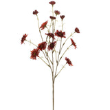 24" Primula Spray Mh/Du