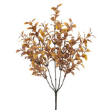 13"tea Leaf Bush Br/tn
