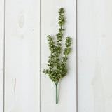 Pick - String Of Pearls