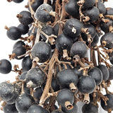 Black Berry