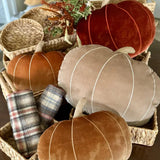 Lrg. Cinnamon Velvet Pumpkin Pillow