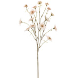 24" Primula Spray Be