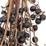 Black Berry