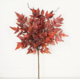 Burgundy Japanese Maple Leaves