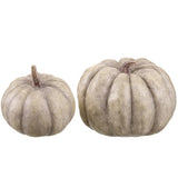 3.5"-4"h Pumpkin Cr/gy