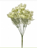 15" Wild Snowy Winter Queen Anns Lace Bush
