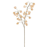 38" Chinese Lantern Spray Be