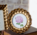 4 X 4 Rd. Bronze Scallop Frame